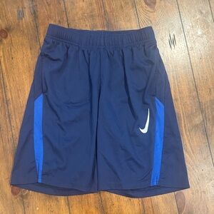 Nike Navy and Royal Blue Shorts